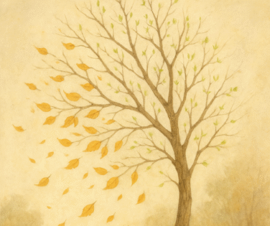 blog post img